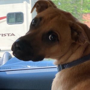 Meet your Posher, Brooke